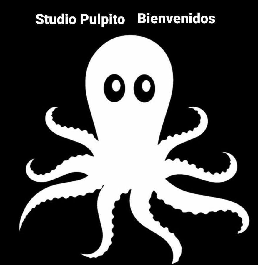 Studio Pulpito In The Charming Heart Of Downtown Pv Puerto Vallarta Kültér fotó
